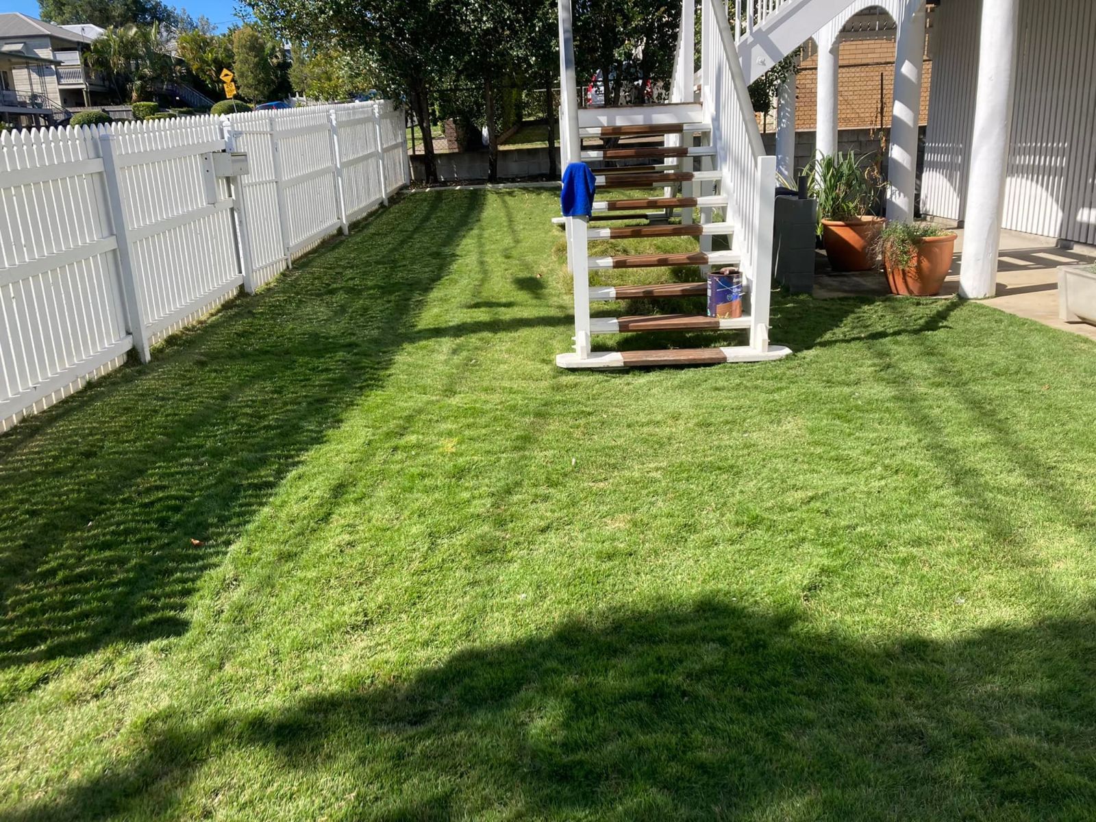 Gallery Zoysia winter care